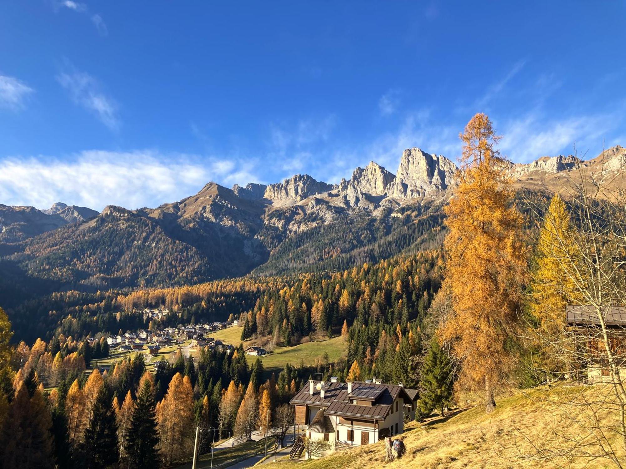 Appartamento Dolomiti Dream 1 Falcade Dış mekan fotoğraf